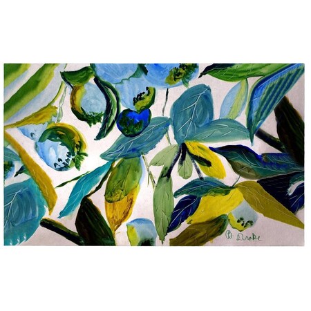 Betsy Drake 30 x 50 in. Betsys Blueberries Door Mat DM1158G